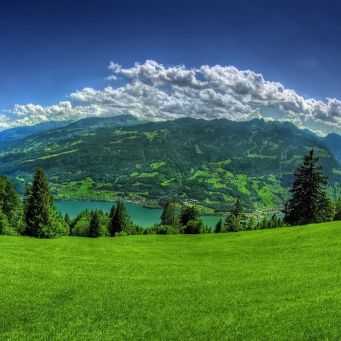 greens grass mountains